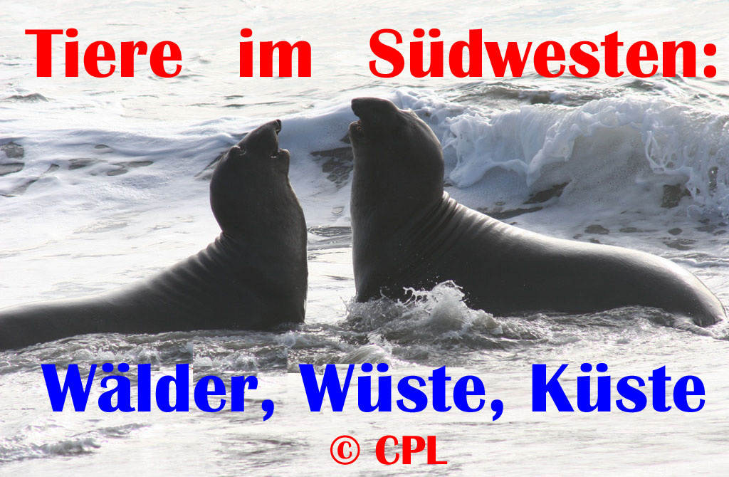 zum starten anklicken