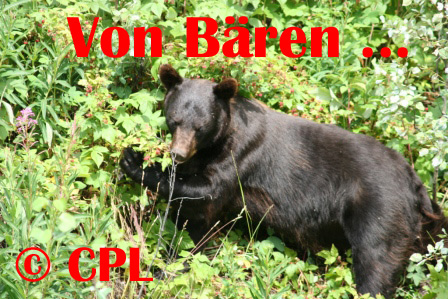 zum starten anklicken