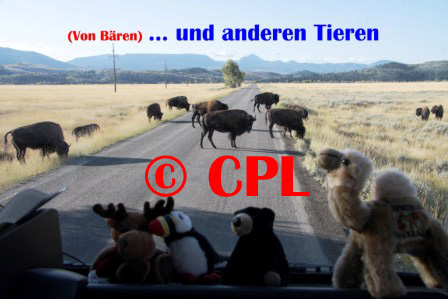 zum starten anklicken